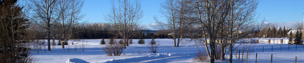 Click here to visit the Cochrane Foothills Rural Crime Watch Protective Association homepage.