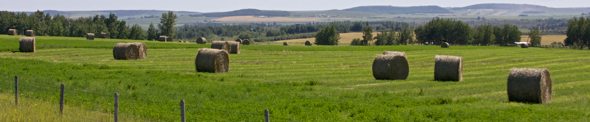 Click here to visit the Cochrane Foothills Rural Crime Watch Protective Association homepage.